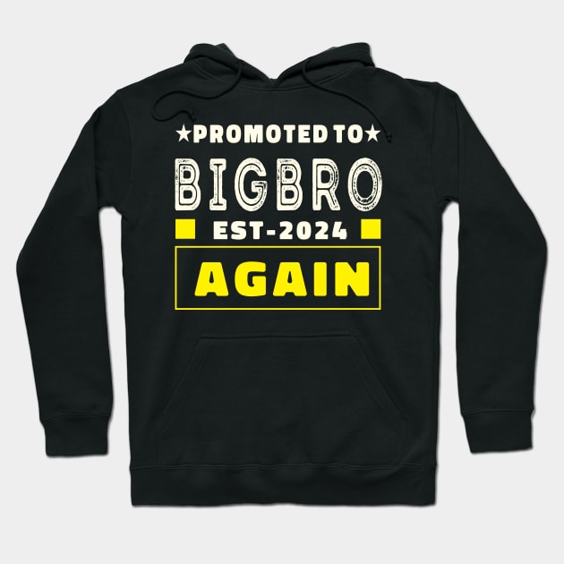 promoted to big brother 2024 Hoodie by NIKA13